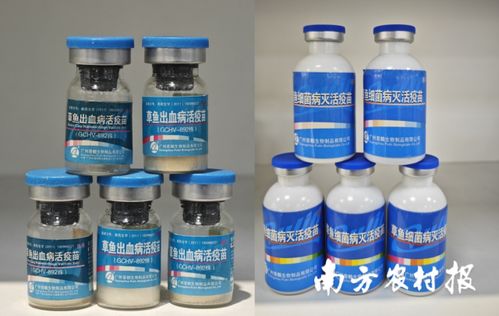 從解決 吃魚難 到助力 養(yǎng)好魚 ,推動(dòng)中國漁業(yè)可持續(xù)發(fā)展丨記珠江所創(chuàng)立70年